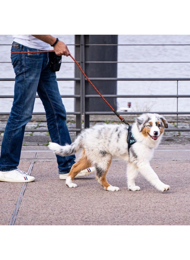 5 FT Reflective Dog Leash with Padded Handle - Tangle-Free Rope Leash with 360° Rotating Clip for Small to Large Dogs - Image 2